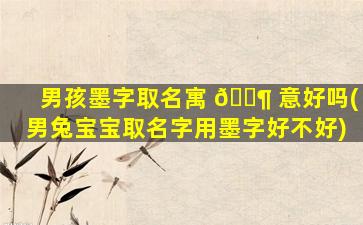 男孩墨字取名寓 🐶 意好吗(男兔宝宝取名字用墨字好不好)